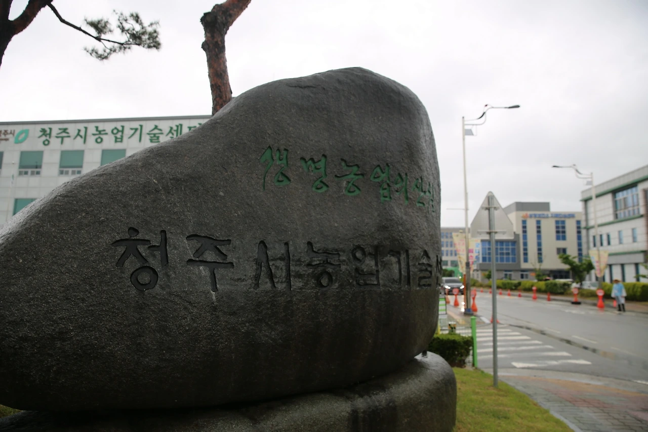 MG0A3139_новый размер.JPG