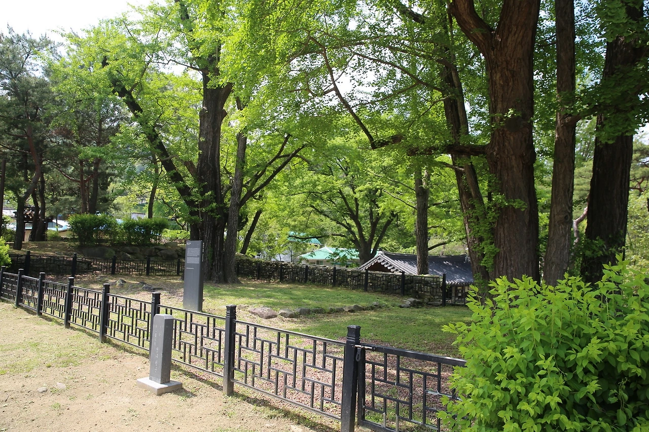 MG0A0861_новый размер.JPG