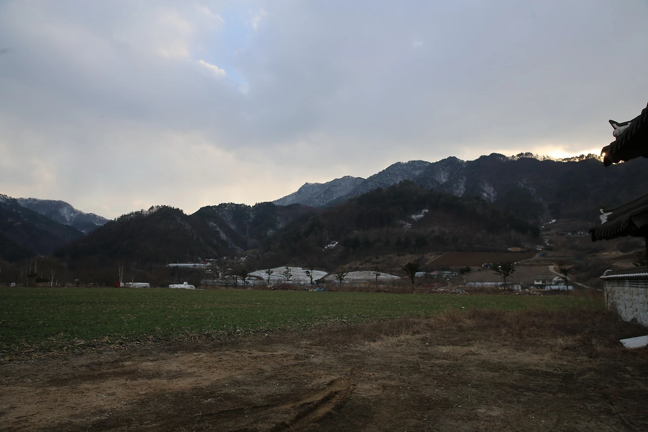 MG0A4940_новый размер.JPG