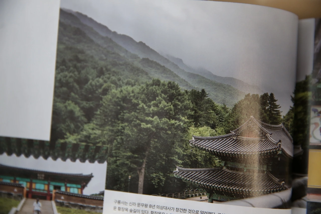 MG0A8922_новый размер.JPG