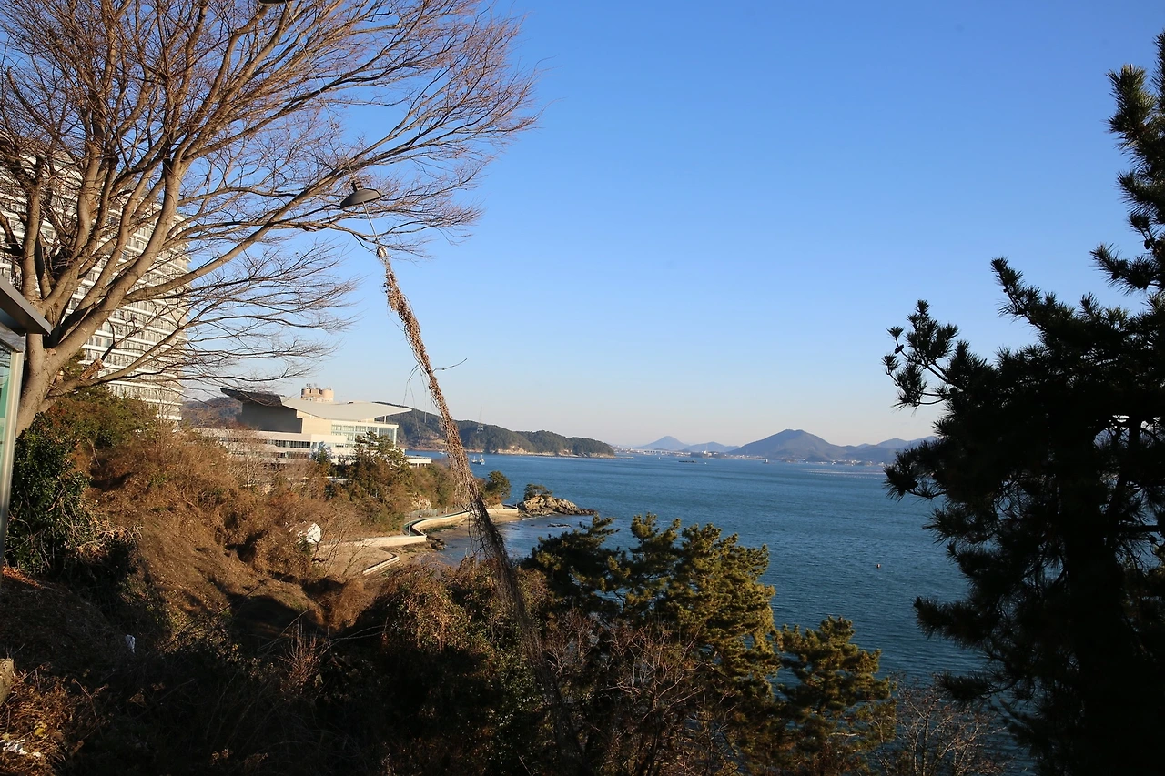 MG0A4520_новый размер.JPG