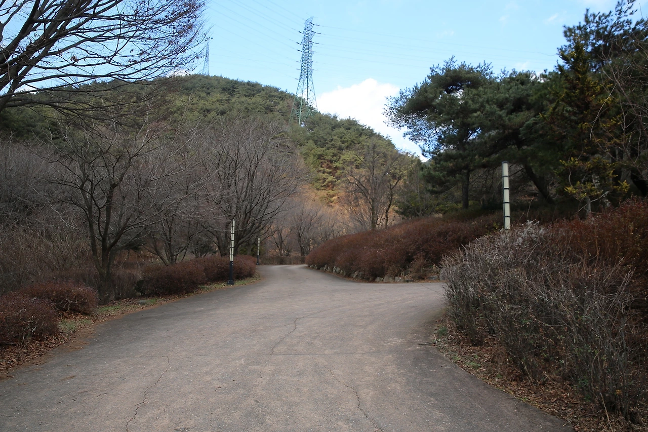 MG0A4977_новый размер.JPG