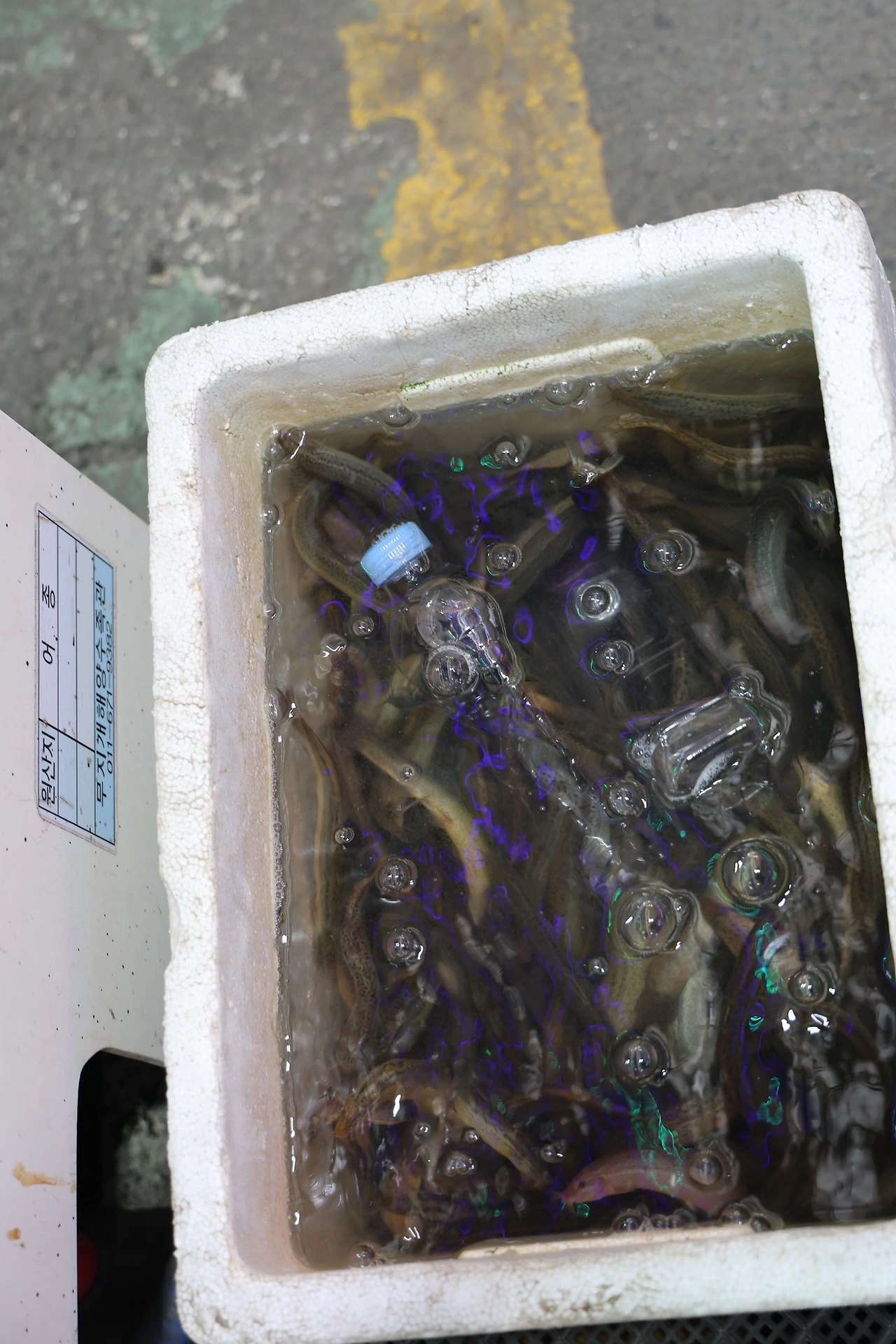 0R5A9135_новый размер.JPG