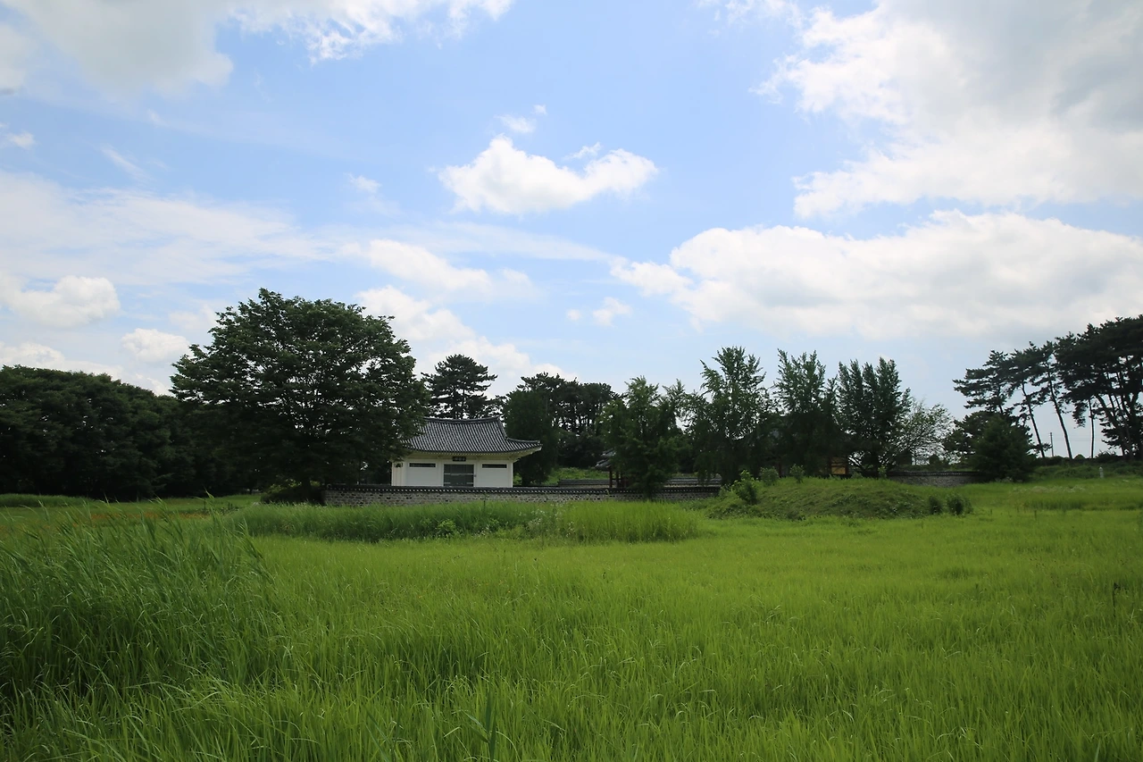 MG0A4426_новый размер.JPG