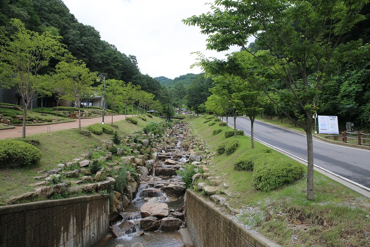 MG0A6550_новый размер.JPG