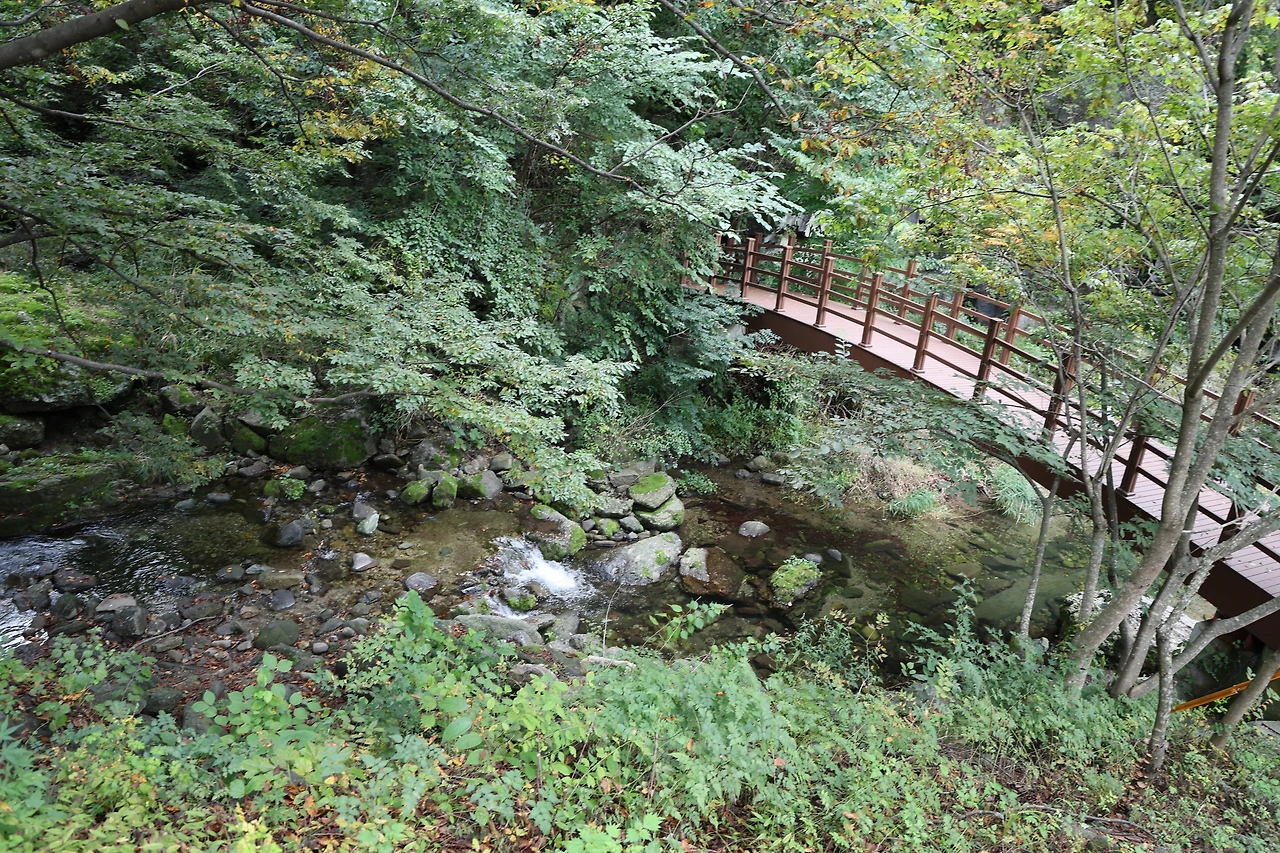 0R5A9781_новый размер.JPG