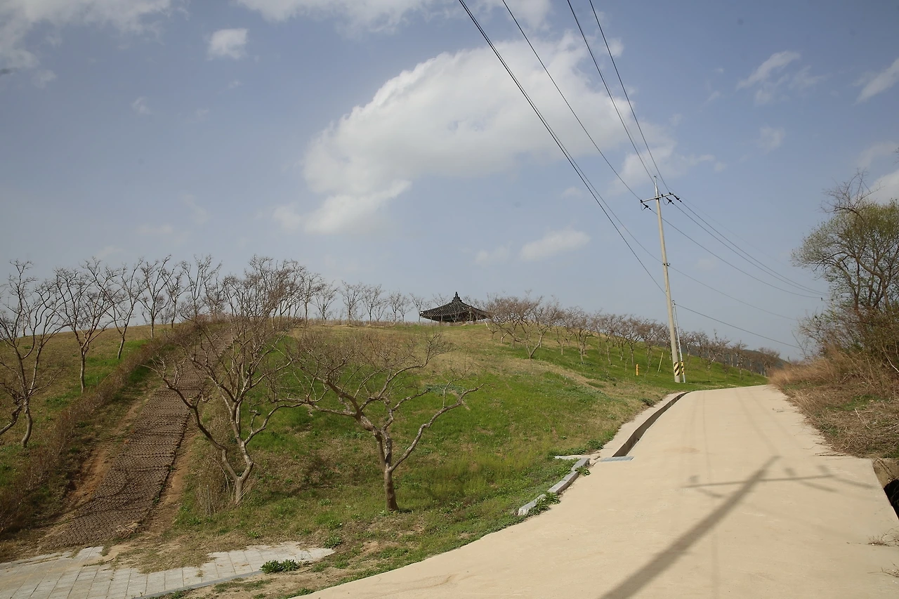 MG0A9920_новый размер.JPG