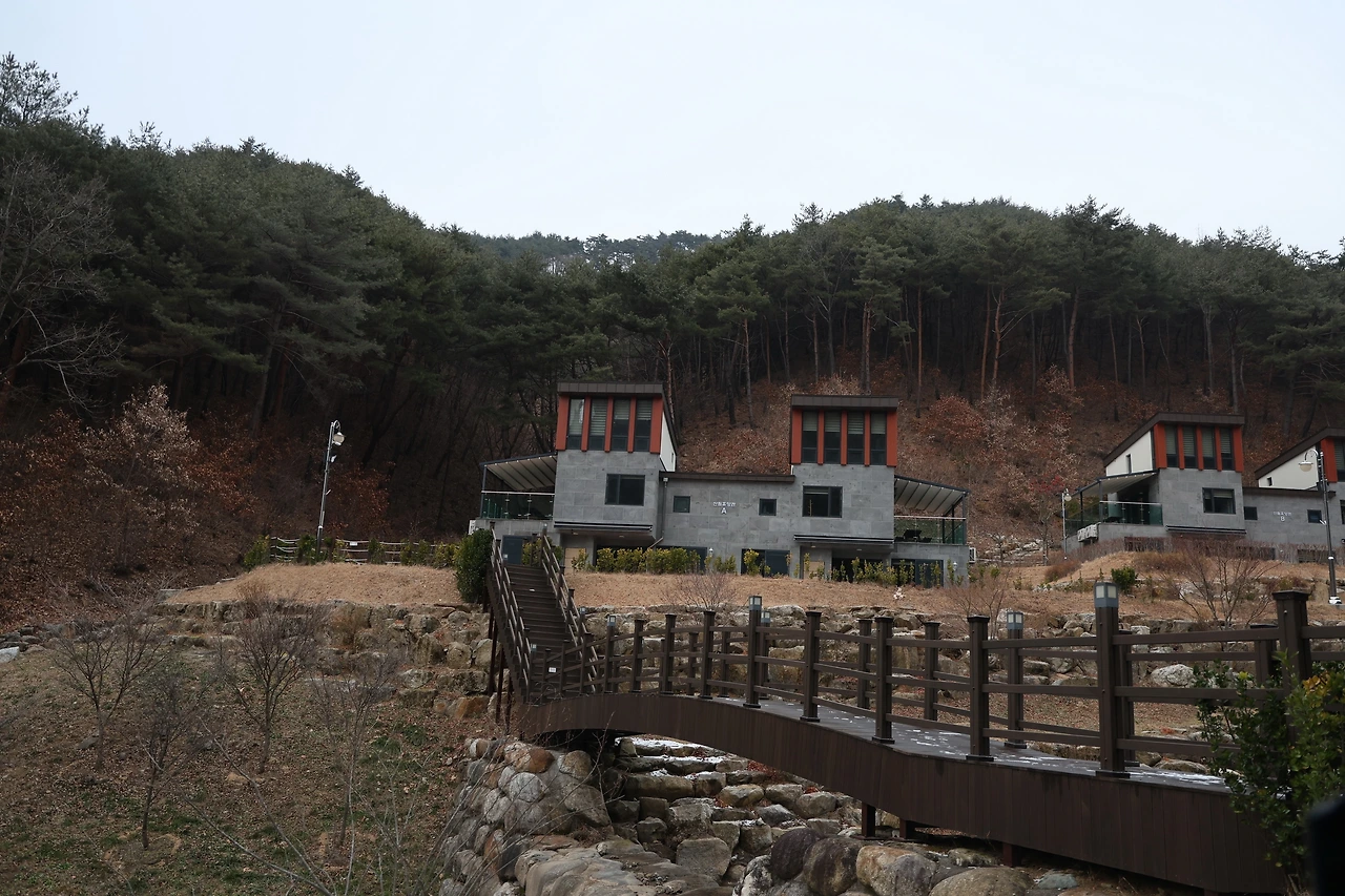 0R5A6646_новый размер.JPG