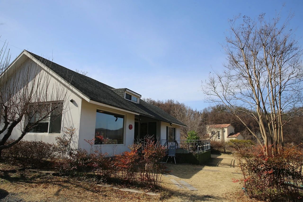 MG0A1847_новый размер.JPG