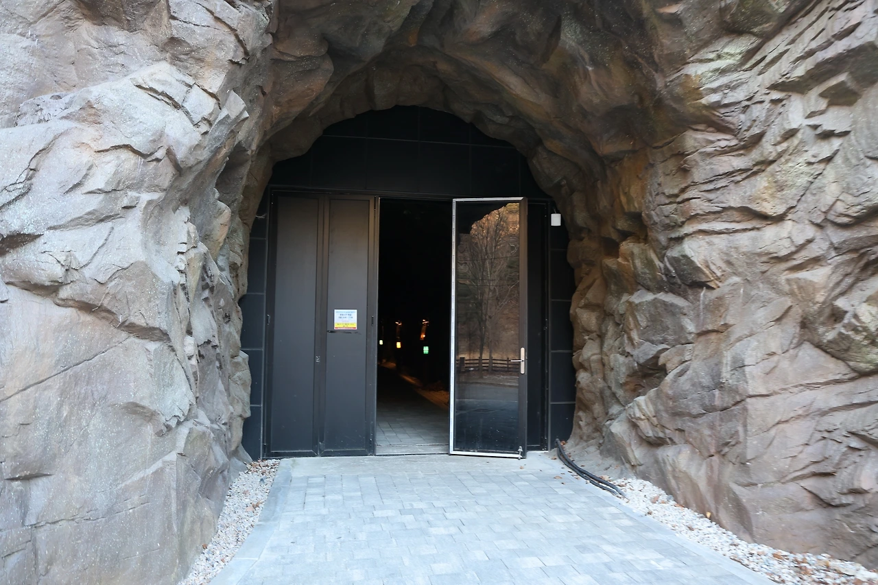 0R5A7973_новый размер.JPG