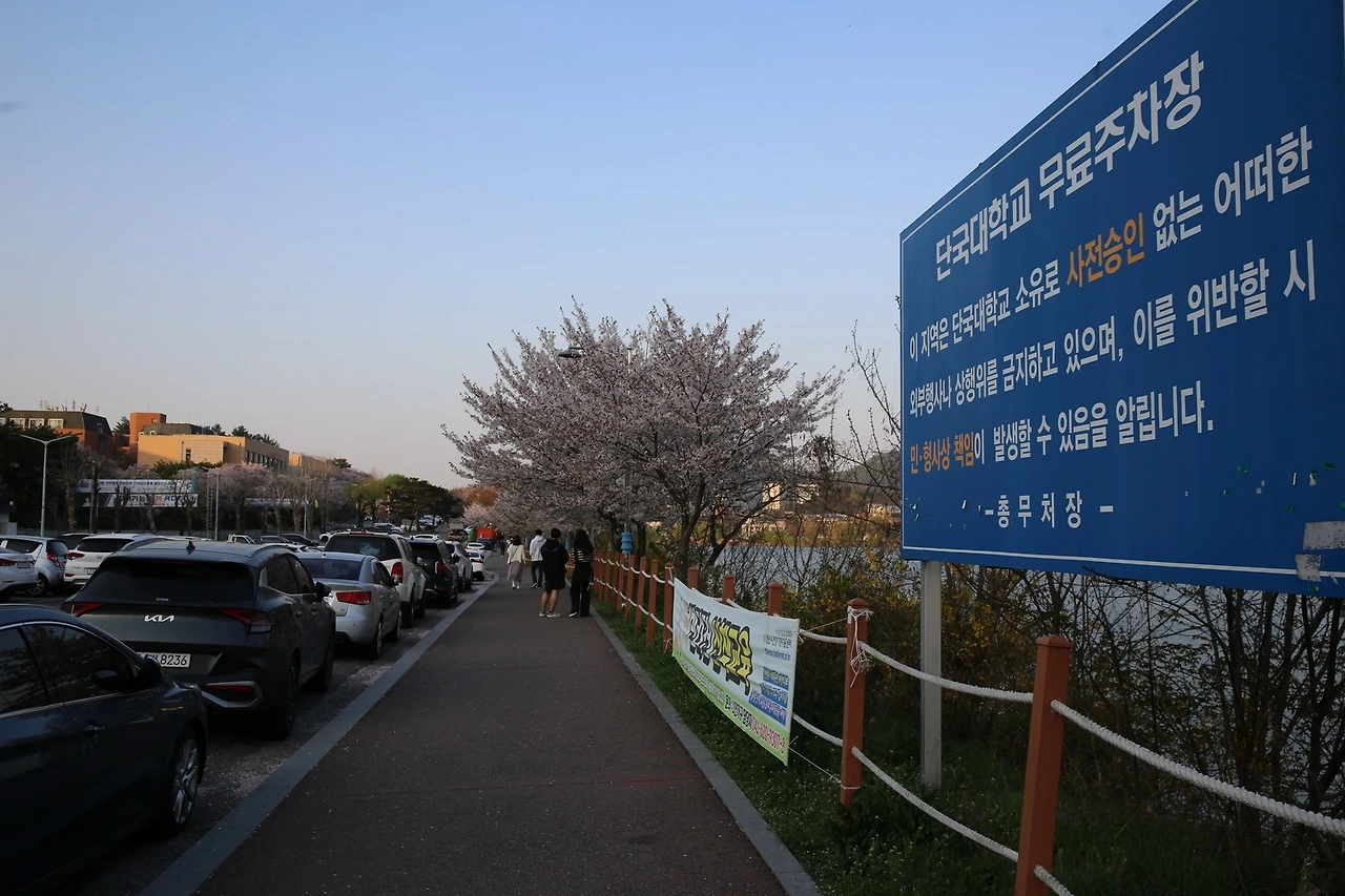 MG0A8902_новый размер.JPG