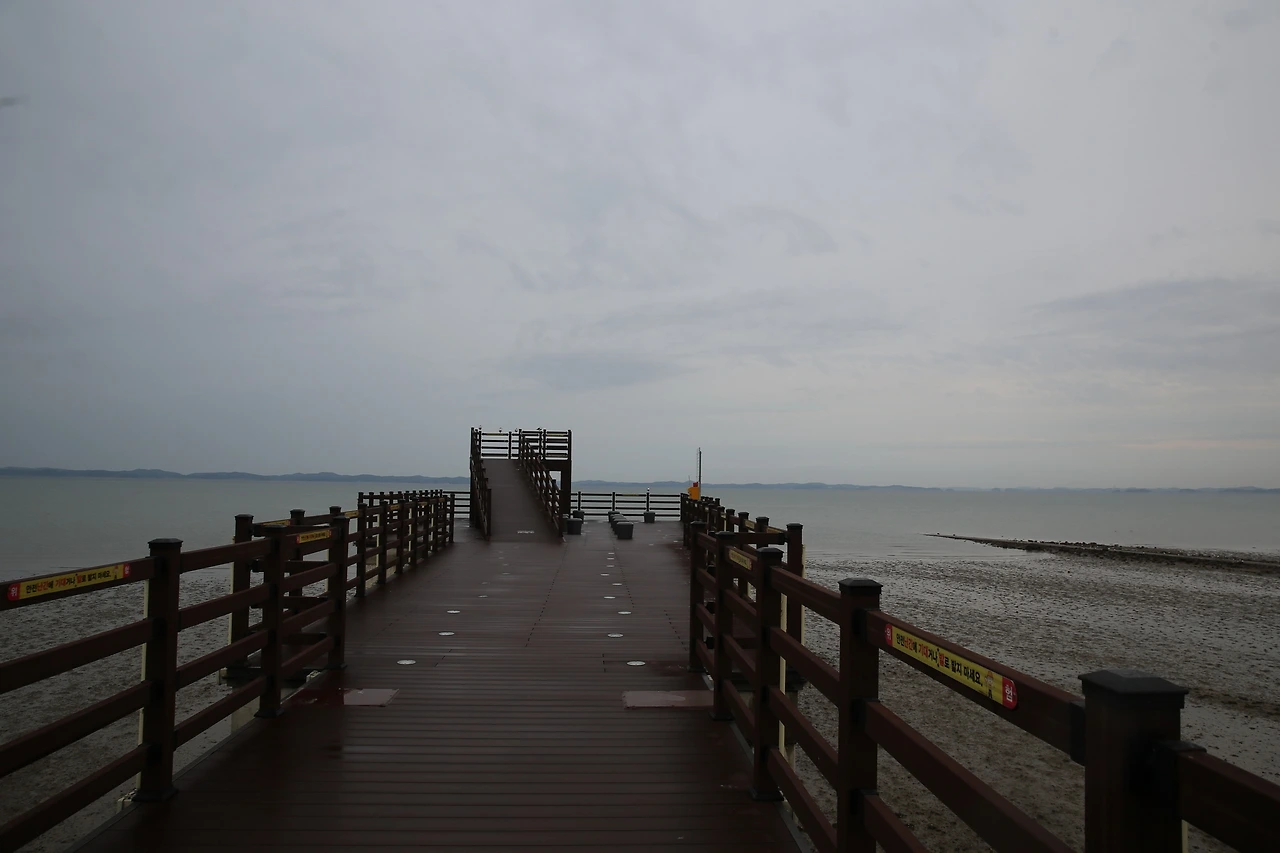 MG0A5086_новый размер.JPG