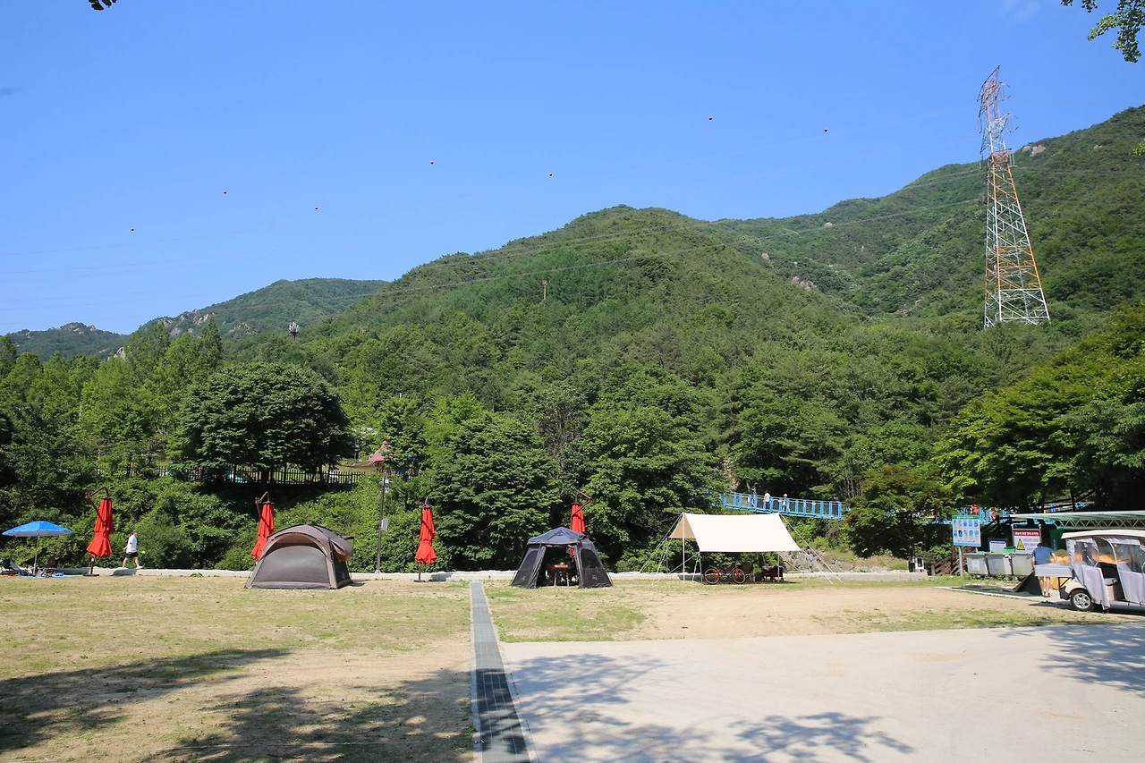 MG0A1537_новый размер.JPG