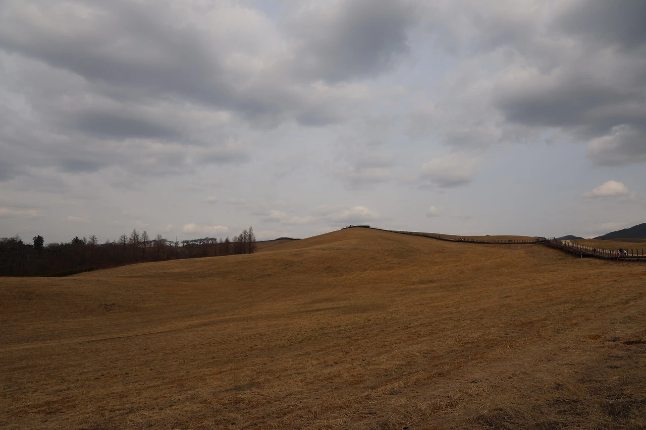 0R5A2808_новый размер.JPG