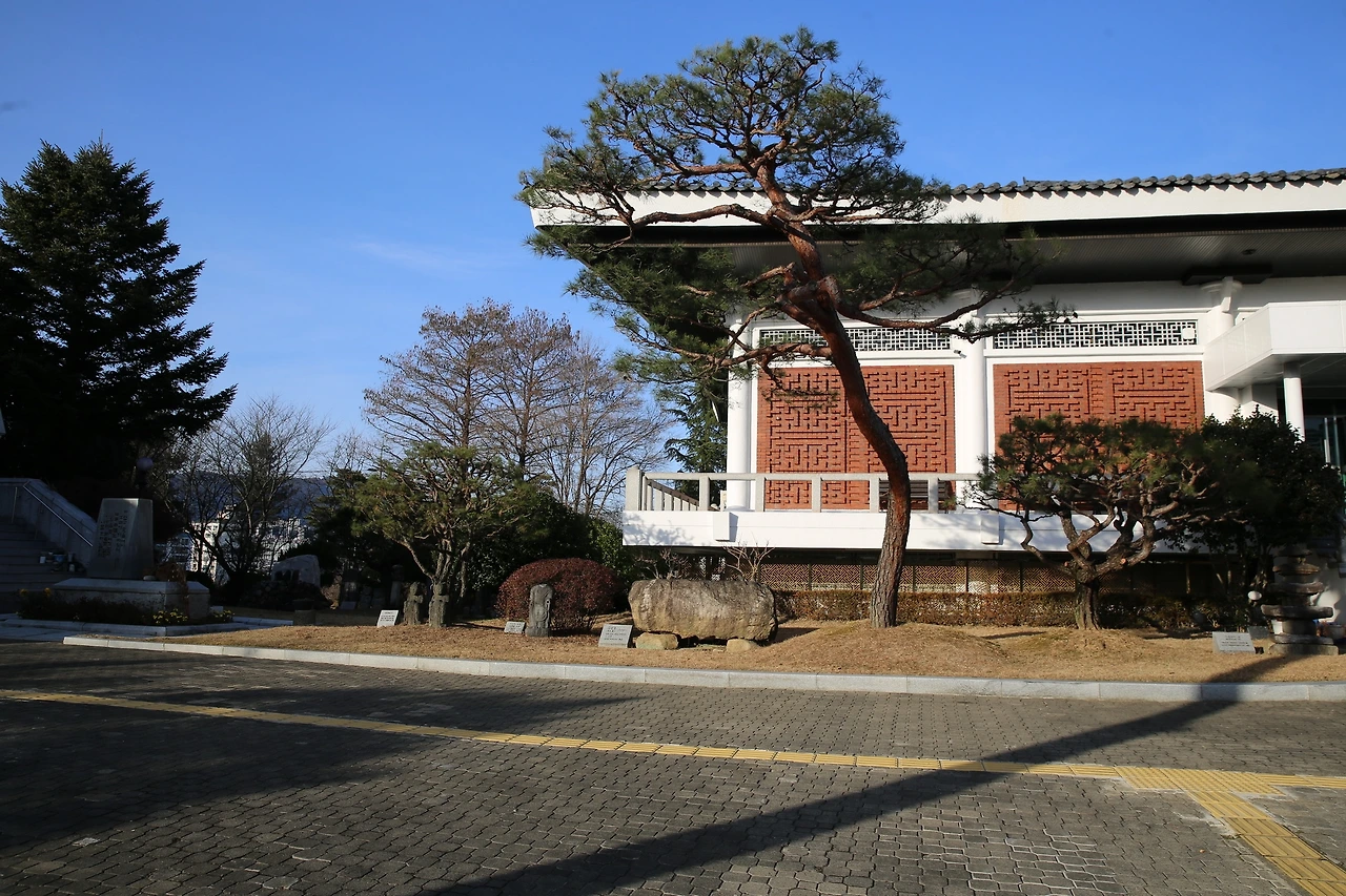 MG0A3674_новый размер.JPG