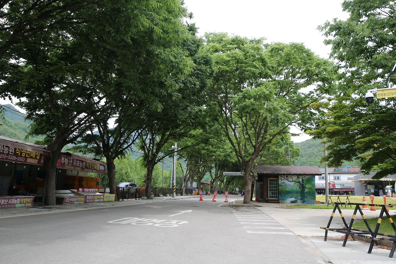 MG0A8566_новый размер.JPG