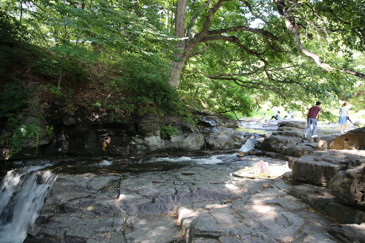 MG0A8227_новый размер.JPG