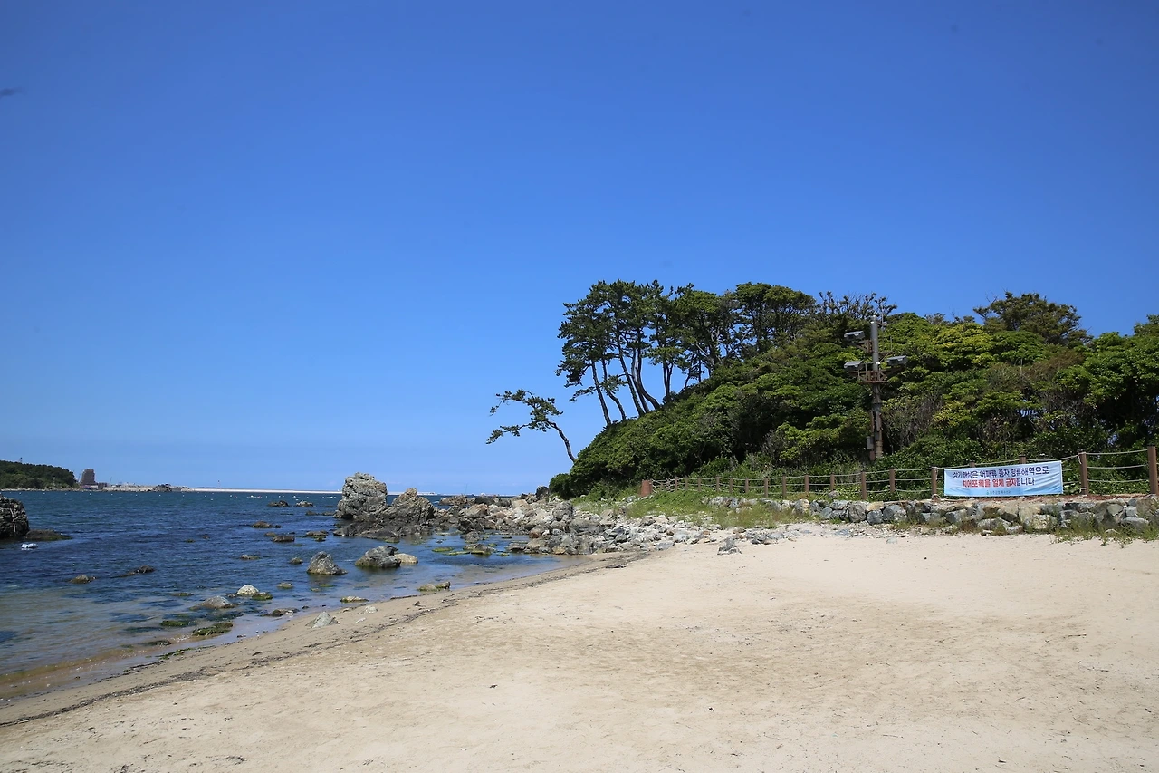 MG0A5903_новый размер.JPG