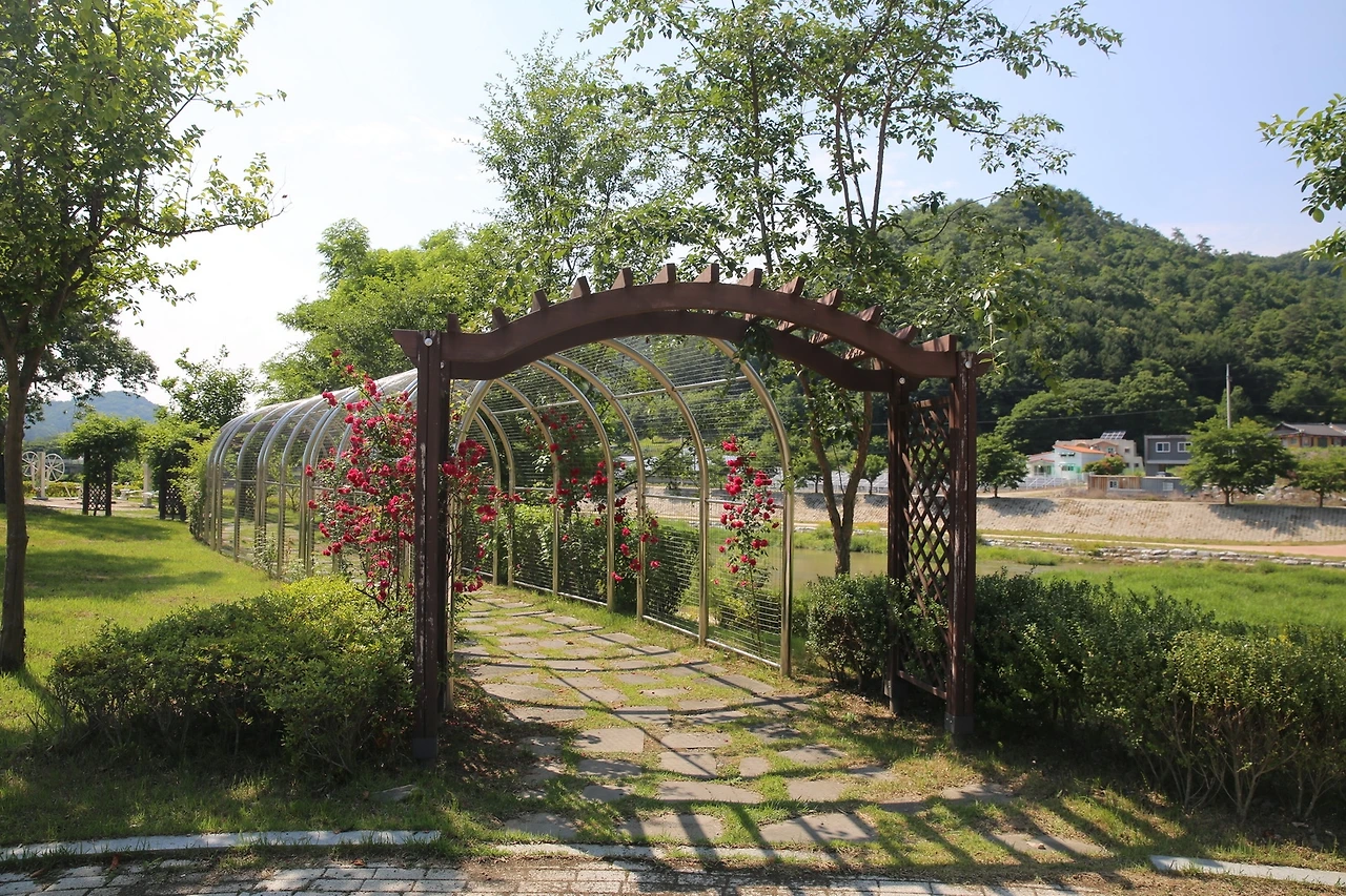 MG0A2220_новый размер.JPG