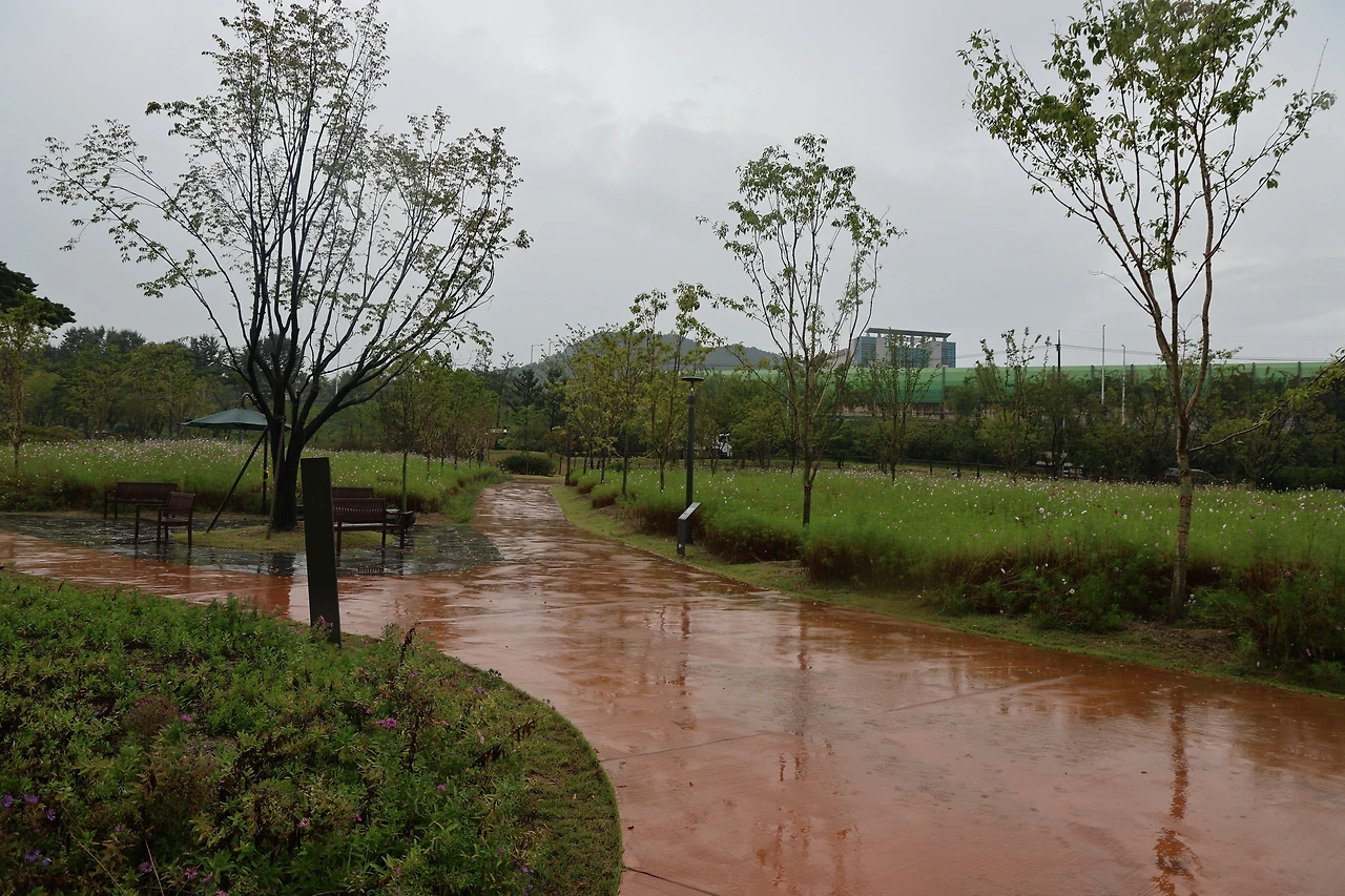 0R5A8083_новый размер.JPG