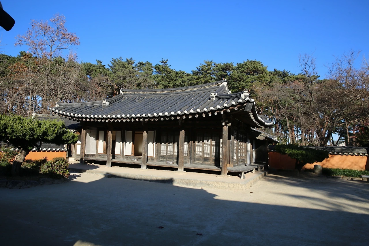 MG0A2242_новый размер.JPG