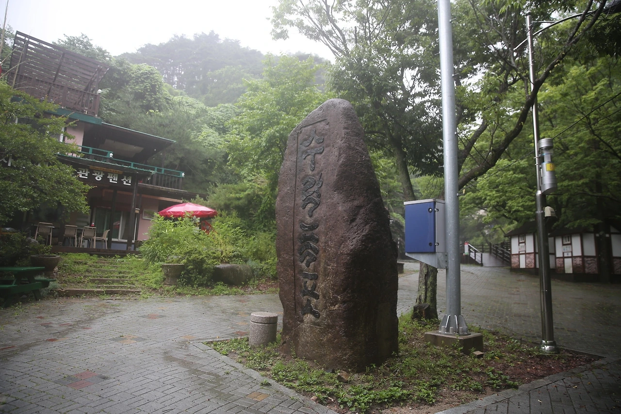 MG0A3341_новый размер.JPG