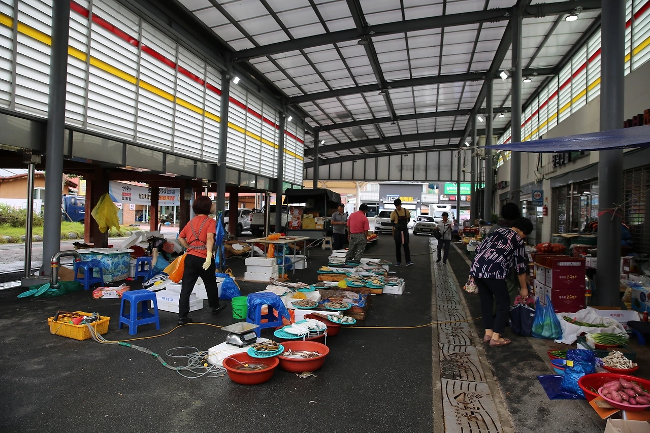 MG0A2425_новый размер.JPG