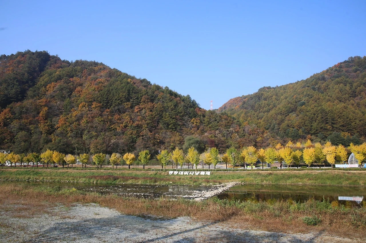 MG0A7889_новый размер.JPG