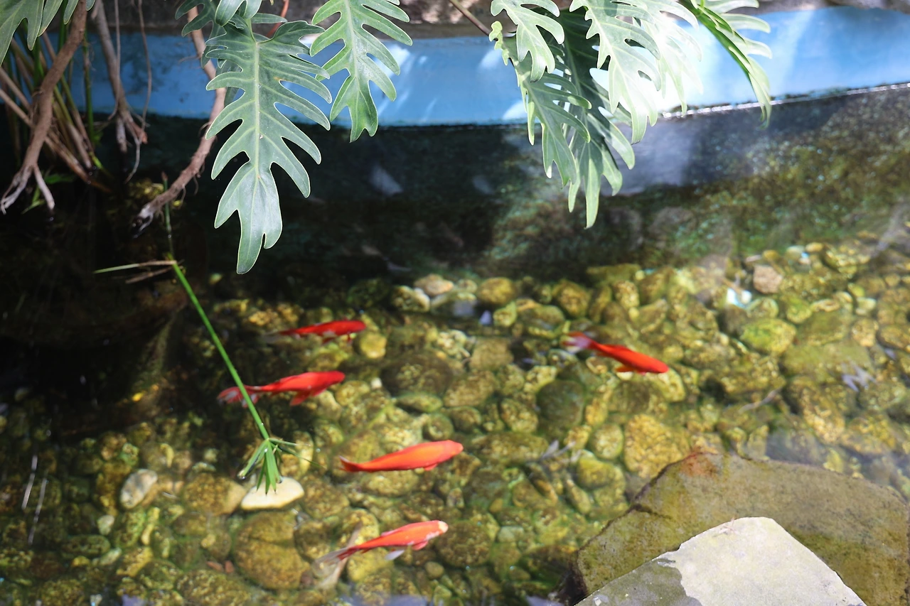 0R5A5886_новый размер.JPG