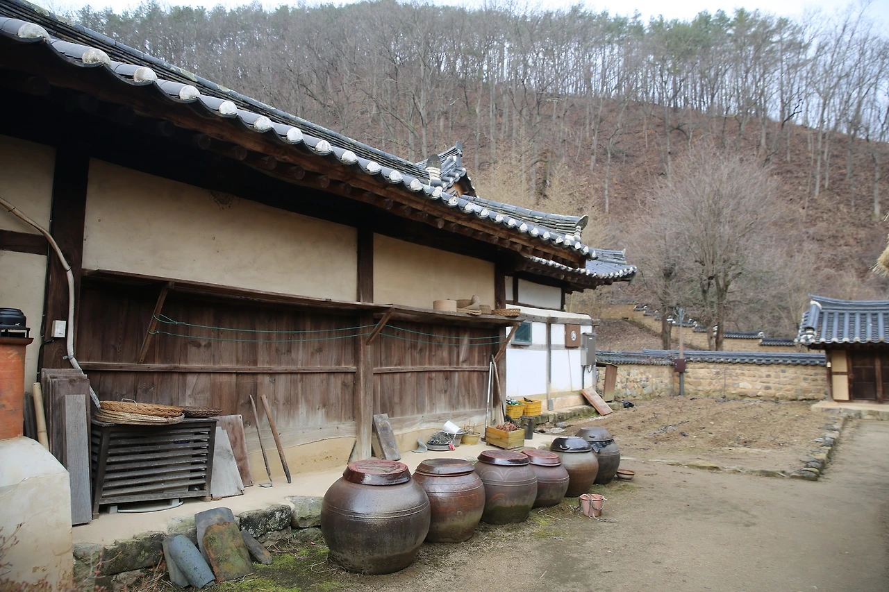 MG0A2488_новый размер.JPG