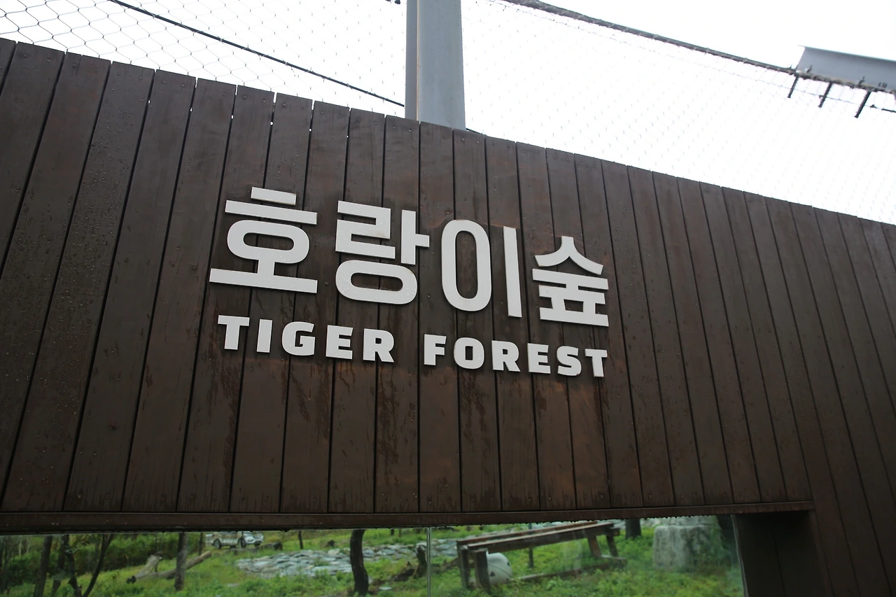 MG0A6202_новый размер.JPG