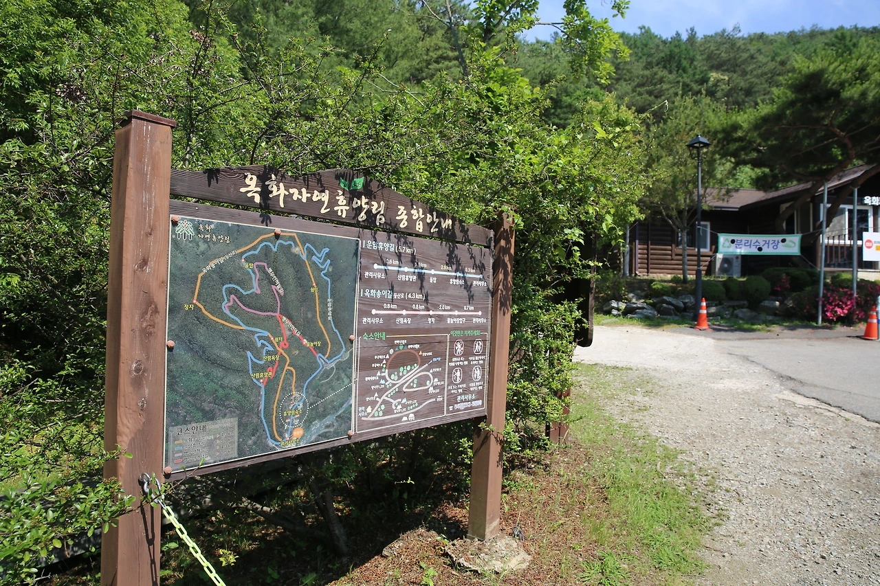 MG0A2190_новый размер.JPG