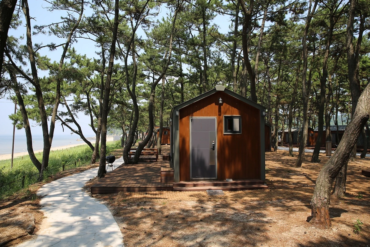 MG0A5735_новый размер.JPG