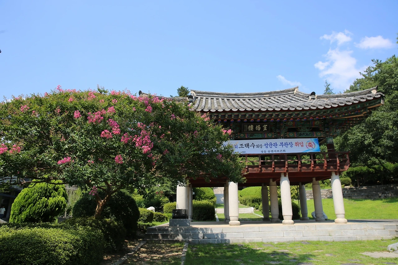 MG0A5752_новый размер.JPG