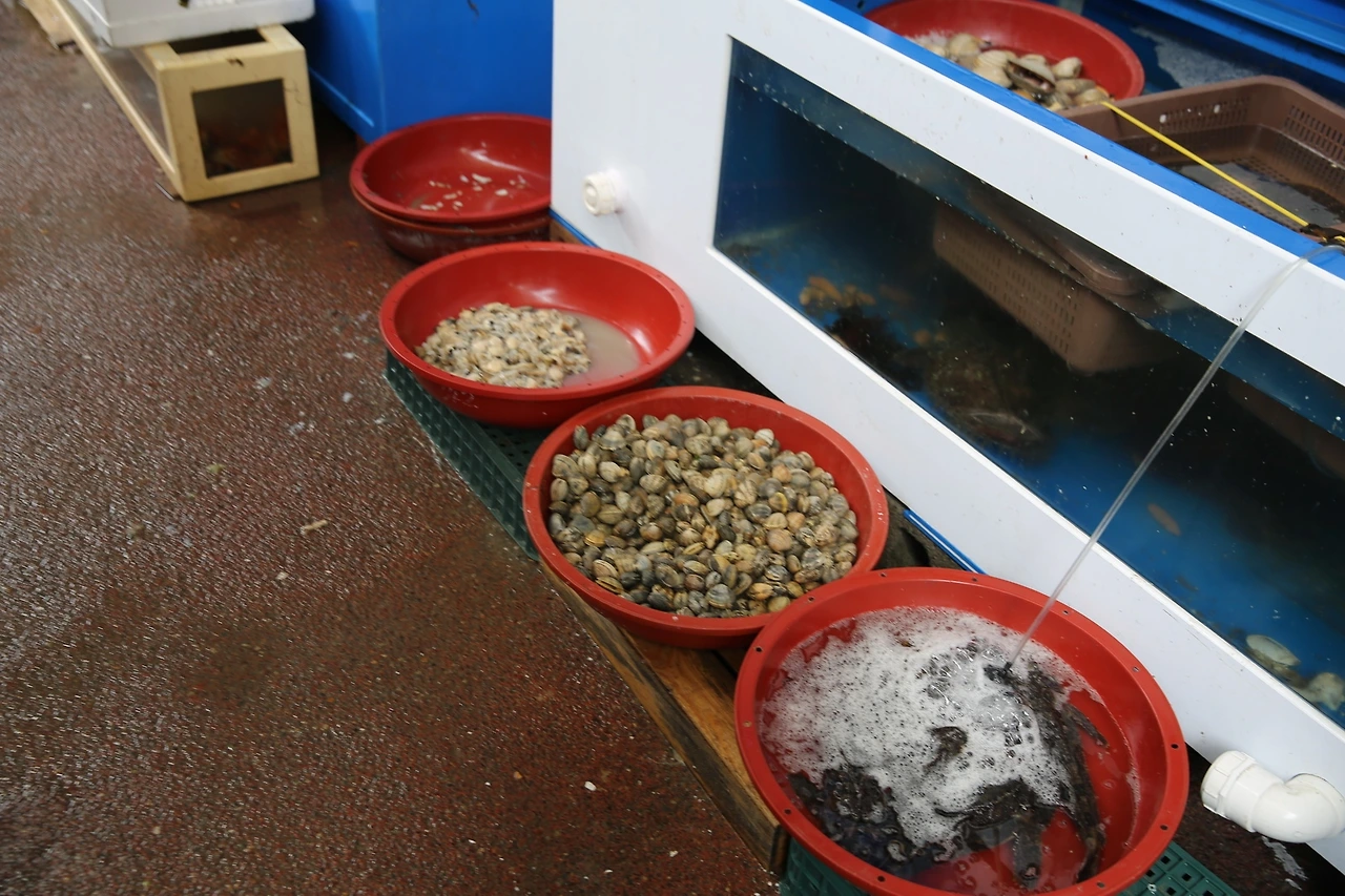 MG0A6931_новый размер.JPG