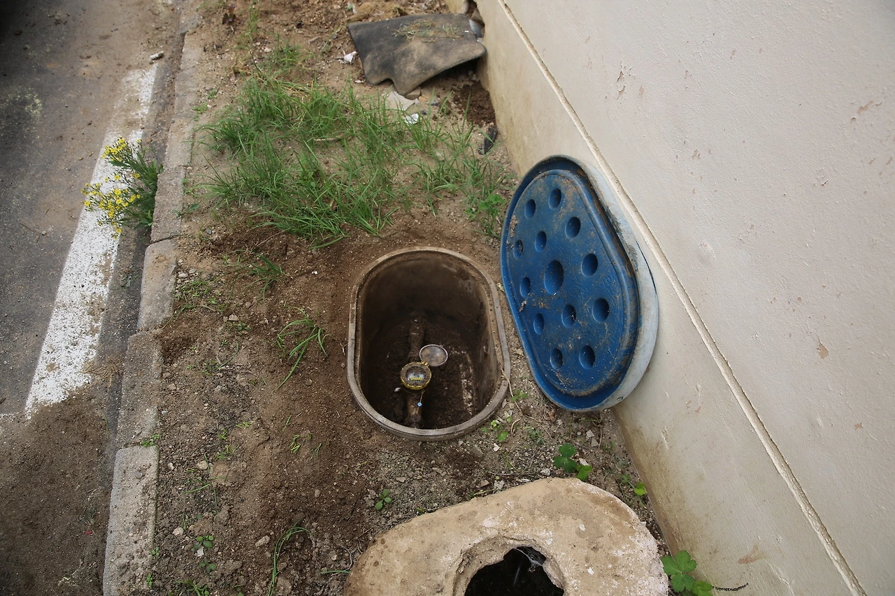 MG0A1659_новый размер.JPG