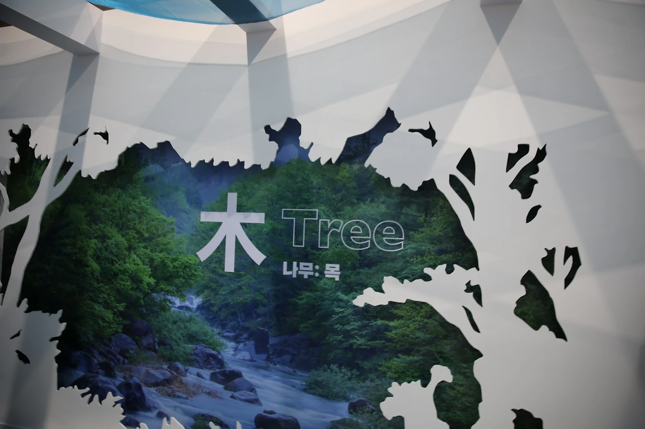 MG0A3158_новый размер.JPG