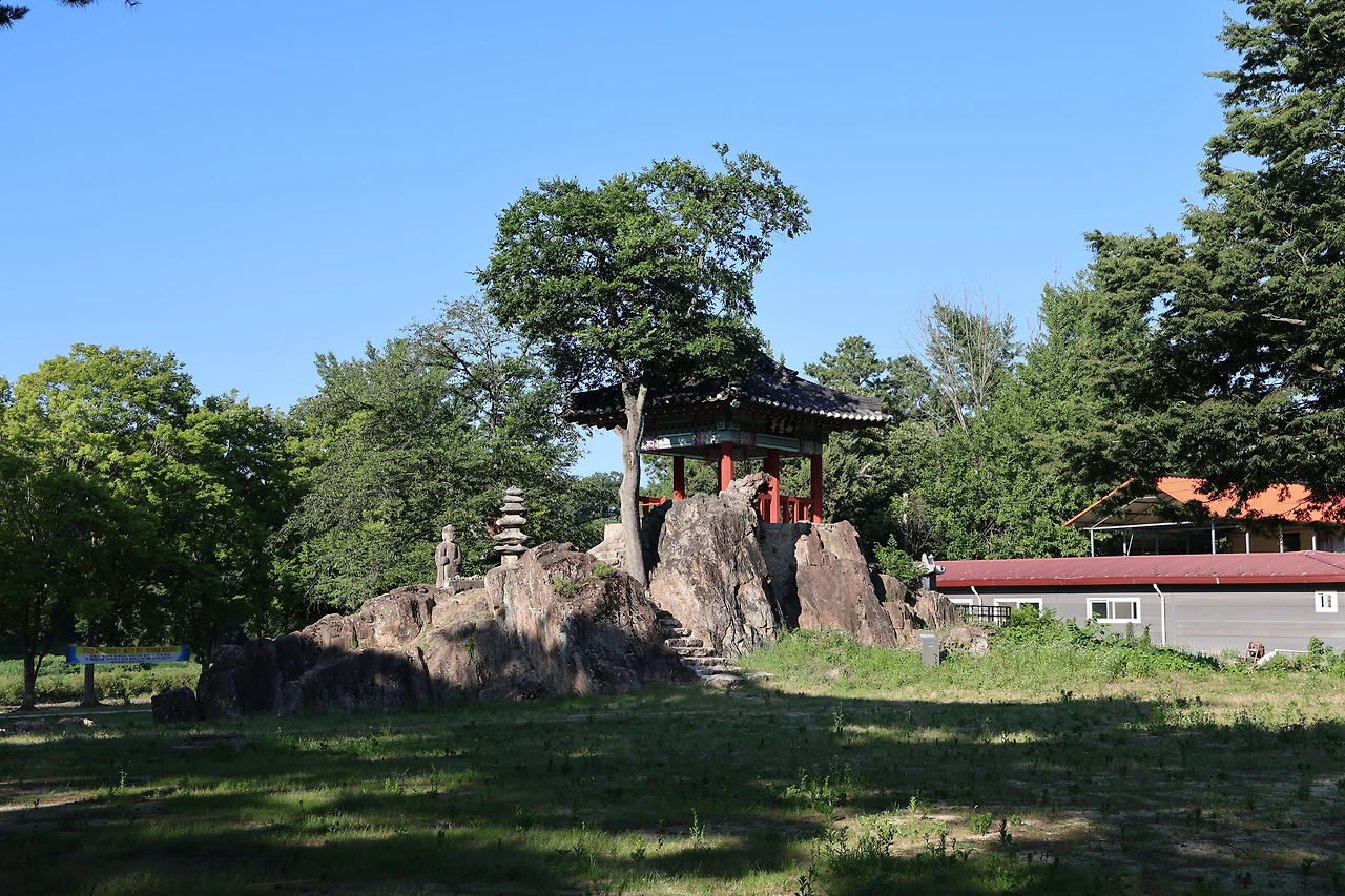 0R5A8100_новый размер.JPG