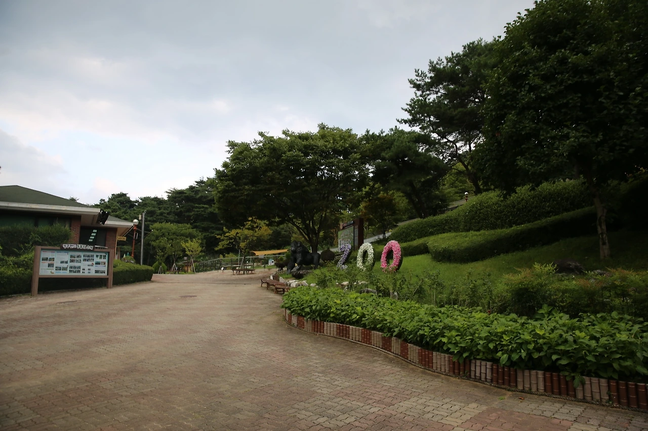 MG0A9597_новый размер.JPG