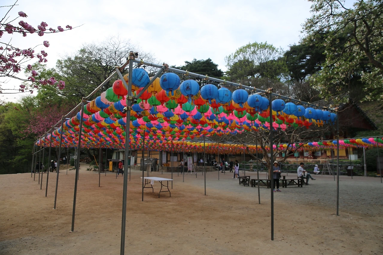 MG0A9541_новый размер.JPG