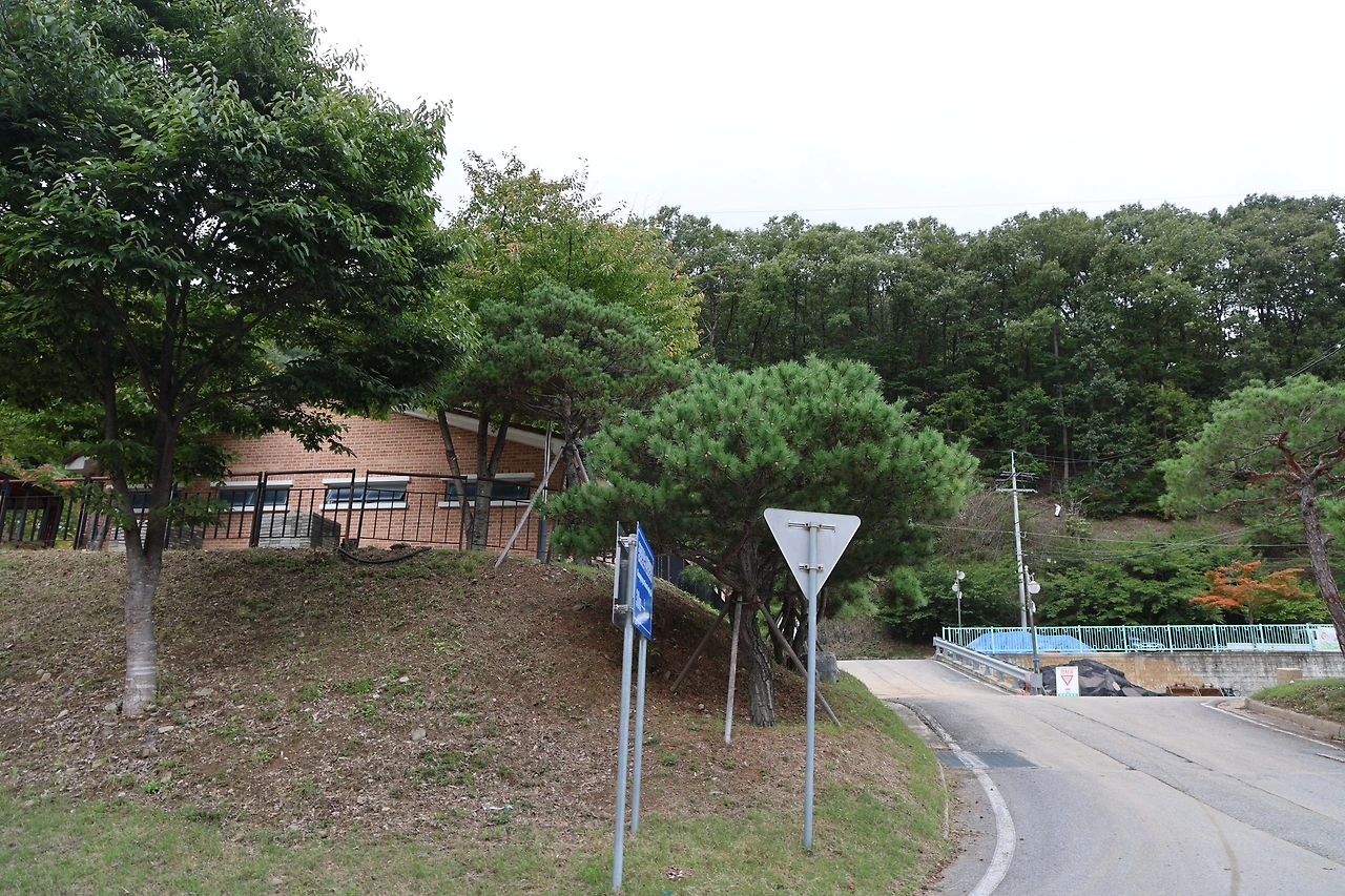 0R5A9769_новый размер.JPG