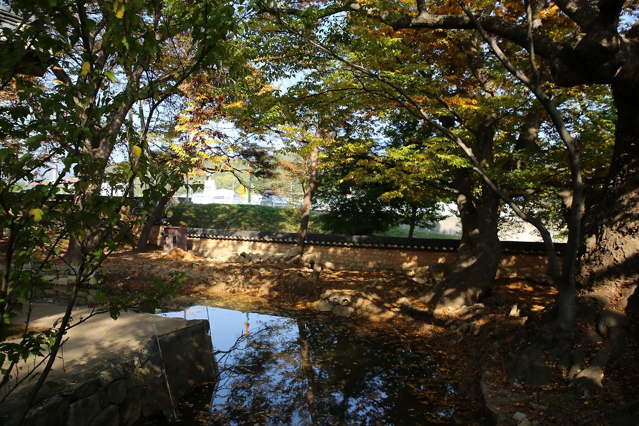 MG0A8331_новый размер.JPG