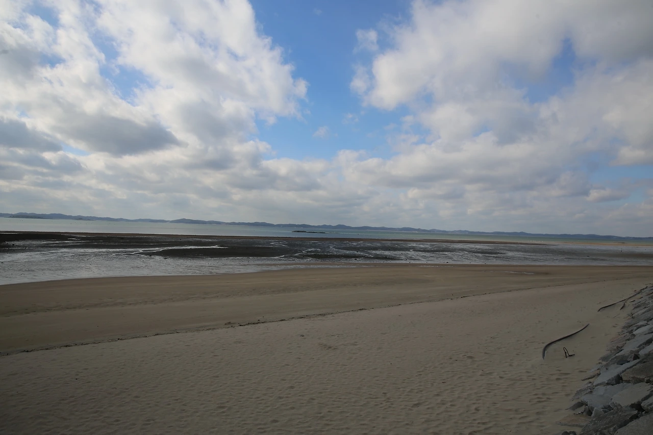 MG0A3134_новый размер.JPG