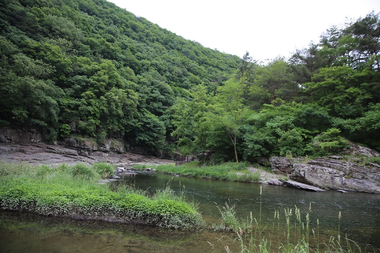 MG0A5509_новый размер.JPG