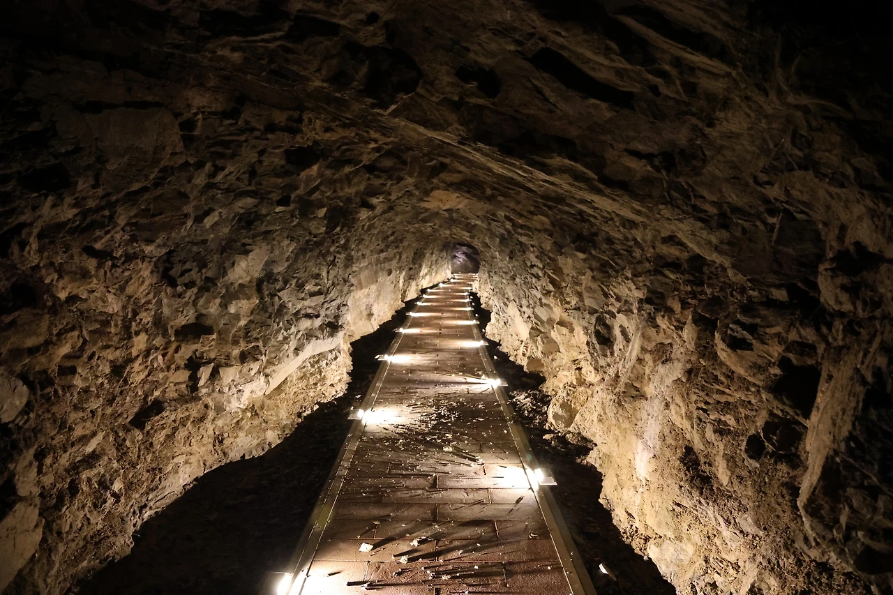 0R5A8146_новый размер.JPG