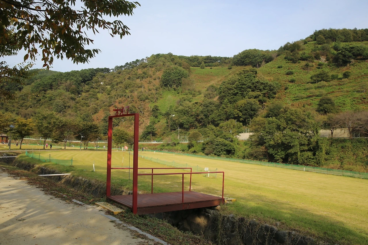 MG0A5866_новый размер.JPG