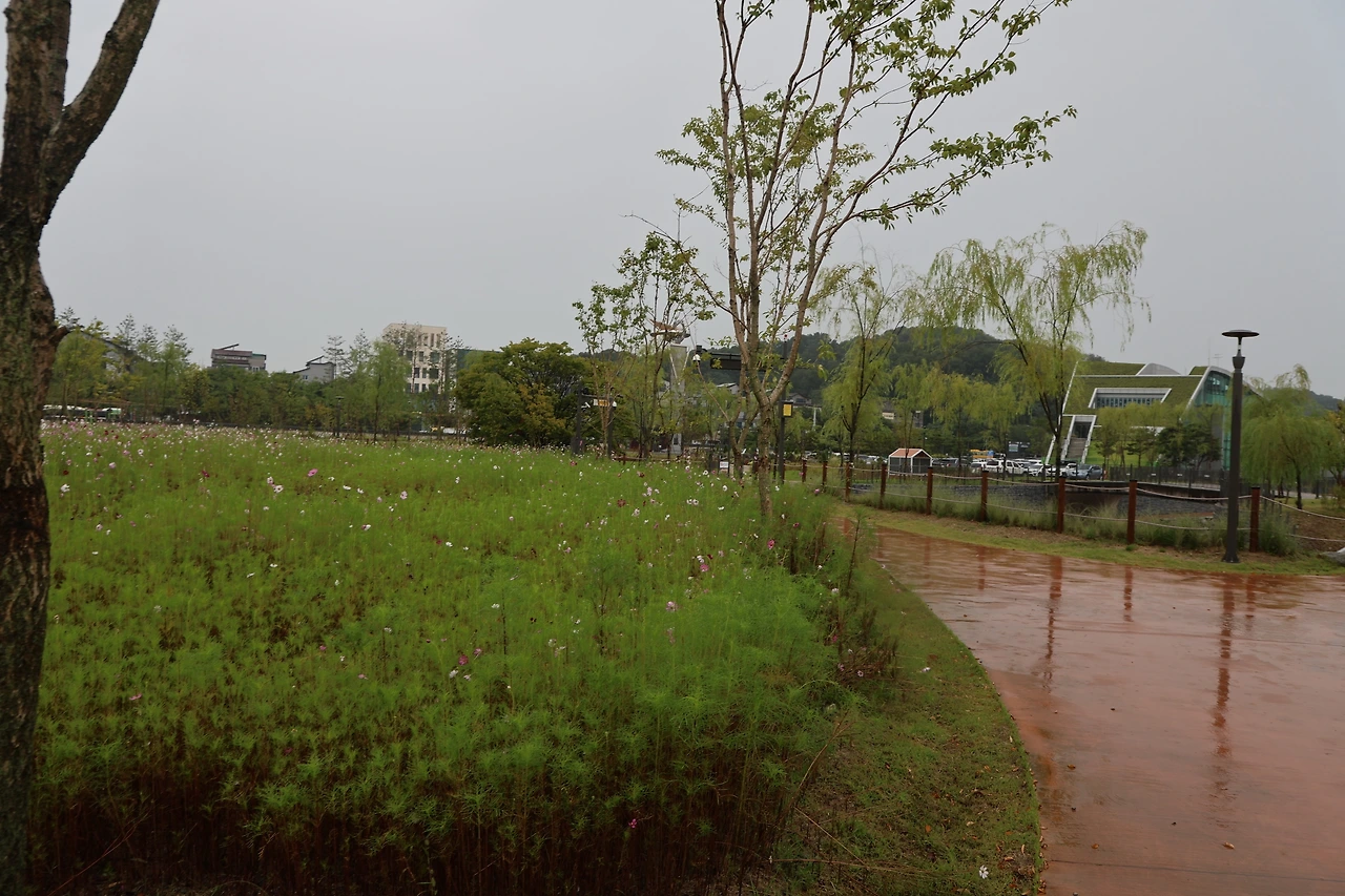 0R5A8086_новый размер.JPG