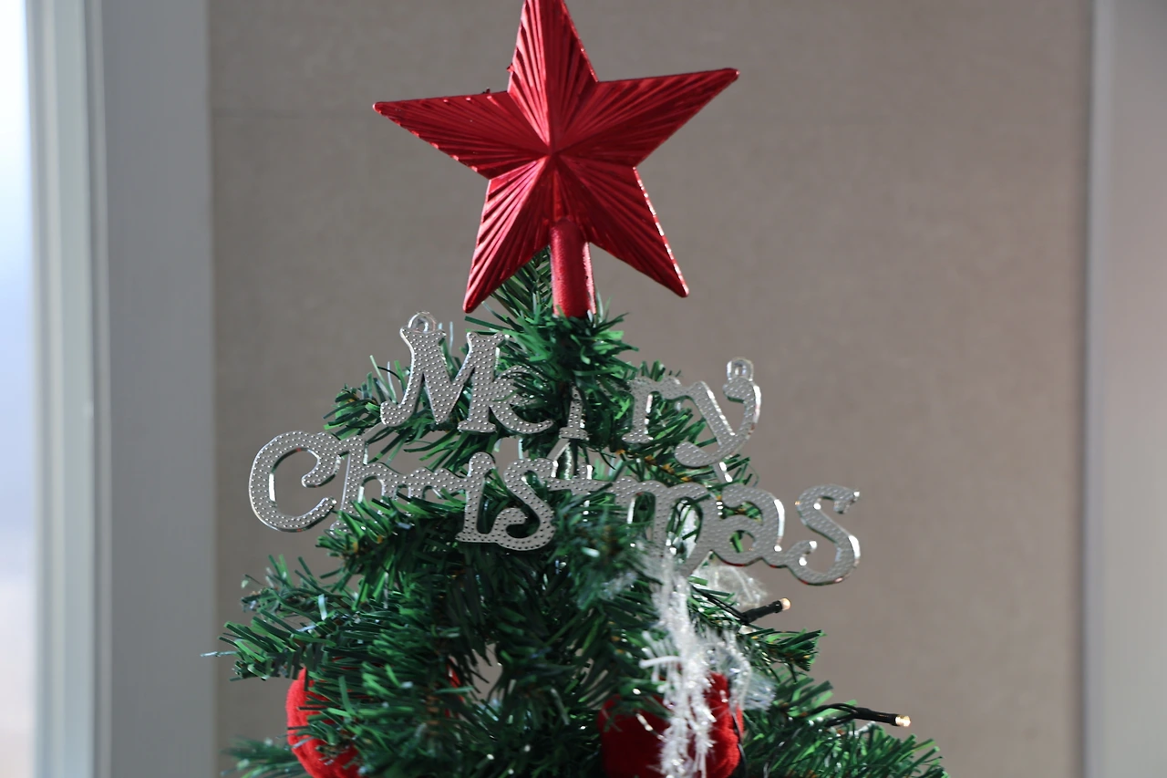 0R5A4739_новый размер.JPG