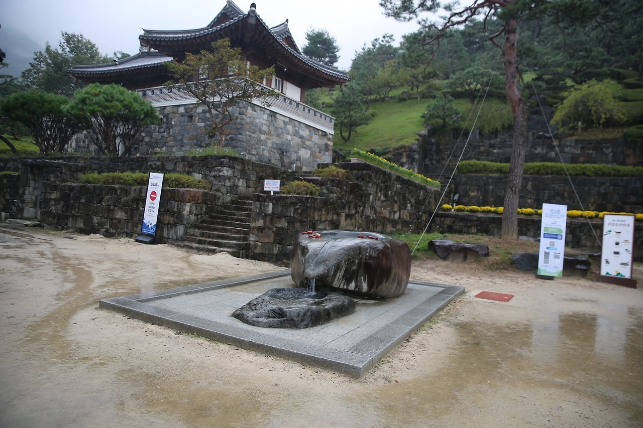 MG0A3197_новый размер.JPG