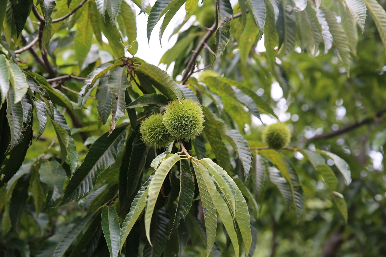 MG0A8962_новый размер.JPG